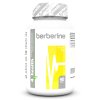 Berberine 500 mg 90 Tabs