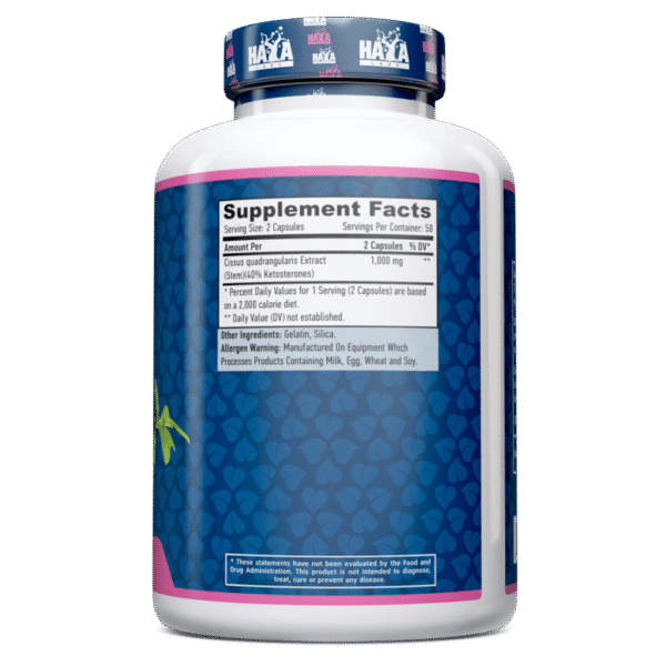 Cissus 500 mg 100 Caps