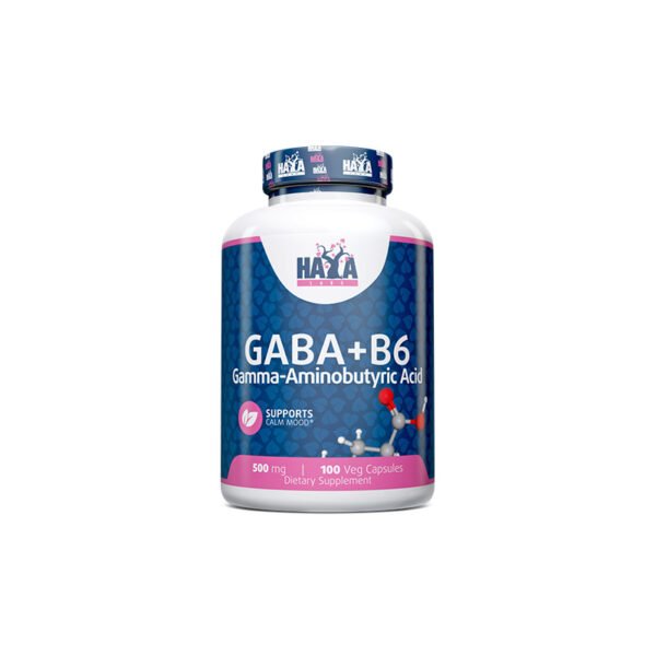 GABA + B-6 - 500 mg. 100 VCaps.