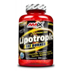 Lipotropic Fat Burner 200 Caps